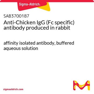 Anti-Chicken IgG (Fc specific) antibody produced in rabbit affinity isolated antibody, buffered aqueous solution