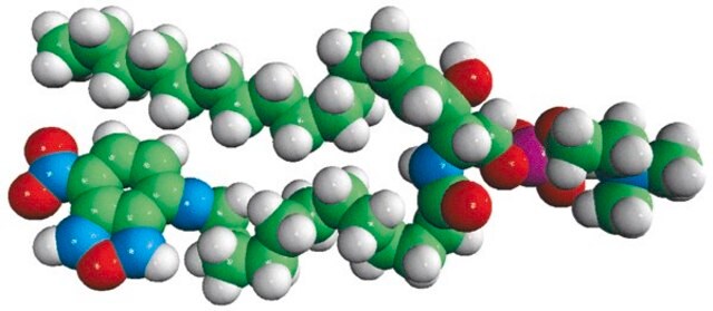 C12-NBD Sphingomyelin Avanti Polar Lipids 810219P, powder