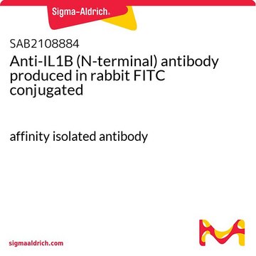 Anti-IL1B (N-terminal) antibody produced in rabbit FITC conjugated affinity isolated antibody