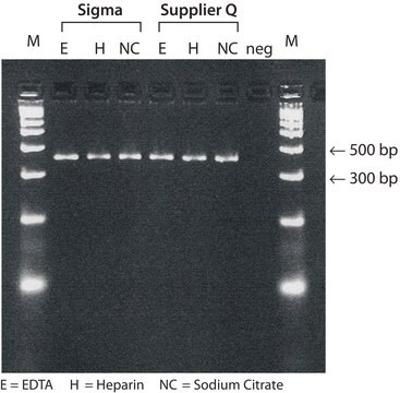 GenElute&#8482; Blut Genomische DNA, Kit sufficient for 350&#160;purifications