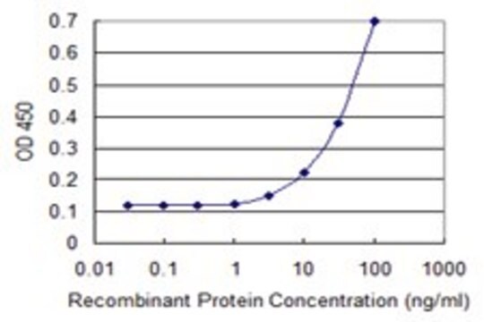 Monoclonal Anti-CCL2 antibody produced in mouse clone 2E2, purified immunoglobulin, buffered aqueous solution