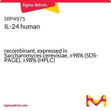 IL-24 human recombinant, expressed in Saccharomyces cerevisiae, &#8805;98% (SDS-PAGE), &#8805;98% (HPLC)