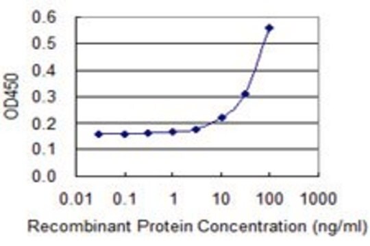 Monoclonal Anti-SEPT2 antibody produced in mouse clone 2F8, purified immunoglobulin, buffered aqueous solution