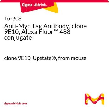 Anti-Myc Tag Antibody, clone 9E10, Alexa Fluor&#8482; 488 conjugate clone 9E10, Upstate&#174;, from mouse