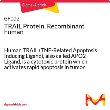 TRAIL Protein, Recombinant human Human TRAIL (TNF-Related Apoptosis Inducing Ligand), also called APO2 Ligand, is a cytotoxic protein which activates rapid apoptosis in tumor cells, but not in normal cells.