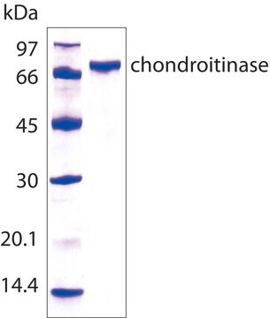 Condroitinase&#160;AC recombinant, expressed in E. coli, &#8805;200&#160;units/mg protein, For Chondroitin Sulfate Analysis