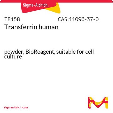 Transferrina human powder, BioReagent, suitable for cell culture