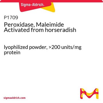 Peroxidase, Maleimid-aktiviert aus Meerrettich lyophilized powder, &gt;200&#160;units/mg protein