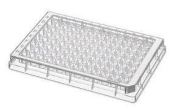 Eppendorf&#174; Microplate 96/F-PP sterile (PCR clean), flat bottom clear wells, white border, pkg of 80&#160;plates (5 bags x 16 plates)