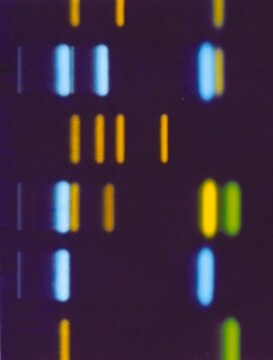 TLC板，硅藻土 F₂₅₄ pkg of 25&#160;plates, plate L × W 20&#160;cm × 20&#160;cm, glass support