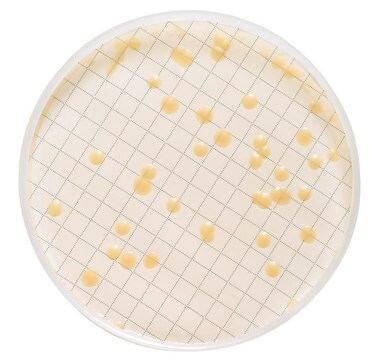 Milliflex Cassette Prefilled with Tryptic Soy Agar with Polysorbate 80 and Lecithin designed for the recovery of heterotrophic microorganisms