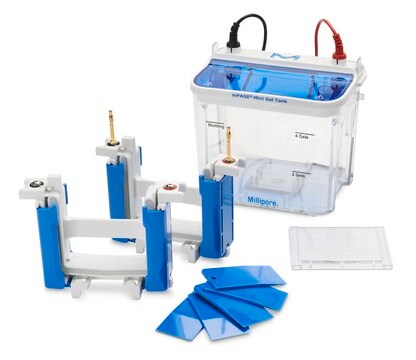 mPAGE&#174; Mini zbiornik na żel for electrophoresis of precast gels or hand cast polyacrylamide gels