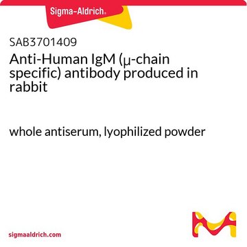 Anti-Human IgM (&#956;-chain specific) antibody produced in rabbit whole antiserum, lyophilized powder