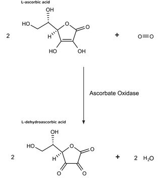 Ascorbate Oxidase from Cucurbita sp. lyophilized powder, 1,000-3,000&#160;units/mg protein