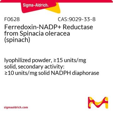 フェレドキシン-NADP+ レダクターゼ Spinacia oleracea（ホウレンソウ）由来 lyophilized powder, &#8805;15&#160;units/mg solid, secondary activity: &#8805;10&#160;units/mg solid NADPH diaphorase