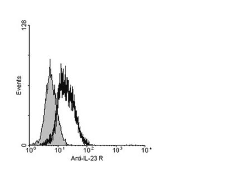 Przeciwciało anty-IL-23R, cytoplazmatyczne from rabbit, purified by affinity chromatography