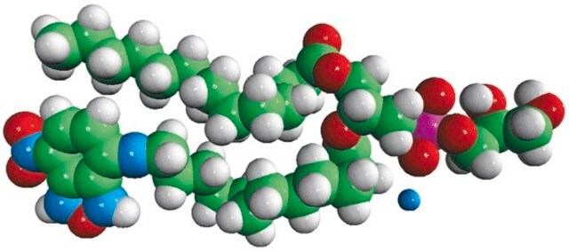 14:0-12:0 NBD PG Avanti Research&#8482; - A Croda Brand 810162P, powder