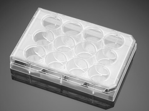 Corning&#174; Falcon&#174; Multiwell Cell Culture Plate size 12&#160;well, sterile