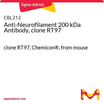 Anti-Neurofilament 200 kDa Antibody, clone RT97 clone RT97, Chemicon&#174;, from mouse