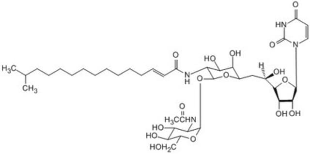 Tunicamycin, Streptomyces lysosuperficus InSolution, 25 mM in DMSO