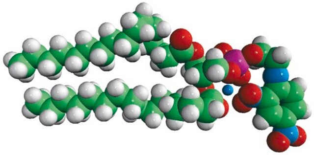 16:0 DNP PE 1,2-dipalmitoyl-sn-glycero-3-phosphoethanolamine-N-(2,4-dinitrophenyl) (ammonium salt), powder