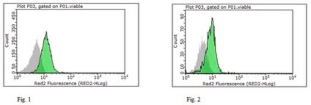 Anti-NLRP10 Antibody, clone 8H2 clone 8H2, from rat