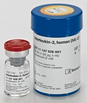 Interleucina-2, humana (hIL-2) recombinant (E. coli)