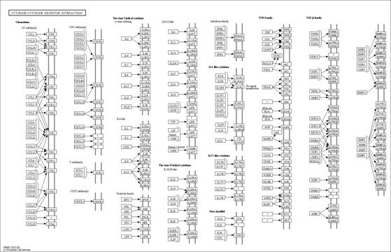 Kinaza PI3 (p110α(E545K)/p85α), 10 µg Complex of N-terminal 6His-tagged, recombinant, full-length human p110&#945; containing the mutation E545K &amp; untagged, recombinant, full-length human p85&#945;. For use in Kinase Assays.