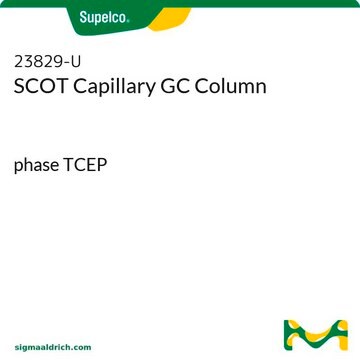 Colonne capillaire SCOT pour GC phase TCEP