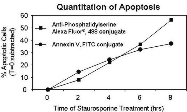 Anticorps anti-phosphatidylsérine, clone 1H6, conjugué à l'Alexa Fluor&#8482; 488 clone 1H6, Upstate&#174;, from mouse