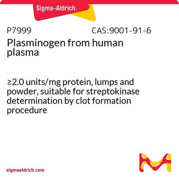 Plasminogen from human plasma &#8805;2.0&#160;units/mg protein, lumps and powder, suitable for streptokinase determination by clot formation procedure