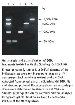 SpinPrep Gel DNA Kit Rapid, efficient extraction of DNA from agarose gels