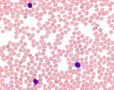 May-Grünwald&#8242;曙红-亚甲基蓝溶液改性 for microscopy