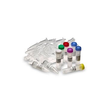 Ready-to-go&#8482; Rapid Analysis Kit Cytiva 27-9502-01, sufficient for 100&#160;reactions, pack of 6&#160;primers