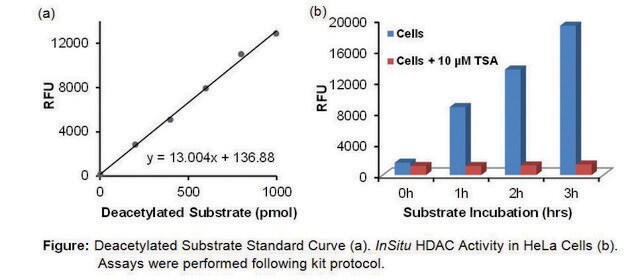 In Situ Histone Deacetylase (HDAC) Activity Fluorometric Assay Kit 100 assays in 96 well plates