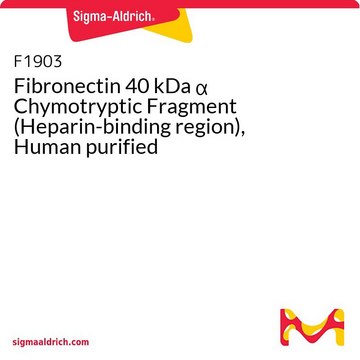 Fragmento de 40 kDa &#945; de fibronectina hidrolizada con quimiotripsina (región de unión a heparina) humana purificada