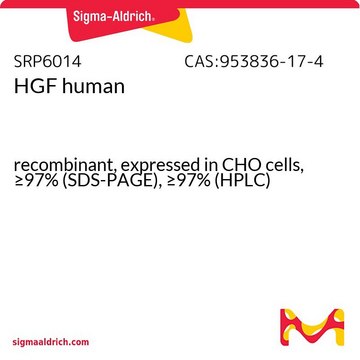 HGF human recombinant, expressed in CHO cells, &#8805;97% (SDS-PAGE), &#8805;97% (HPLC)