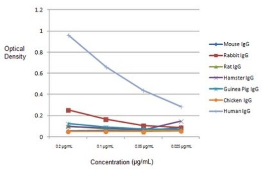 Anticorps de mouton anti-IgG humaine 1&#160;mg/mL, from sheep