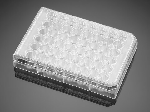 Corning&#174; Falcon&#174; Cell Culture Plate wells, 48, Tissue Culture (TC)-treated surface, flat bottom clear wells, sterile