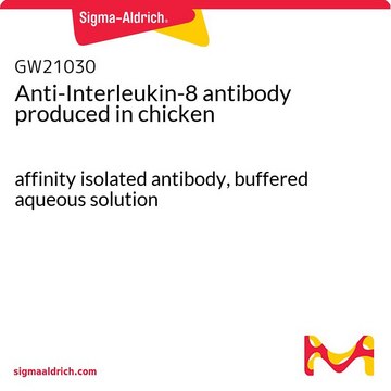 Anti-Interleukin-8 antibody produced in chicken affinity isolated antibody, buffered aqueous solution