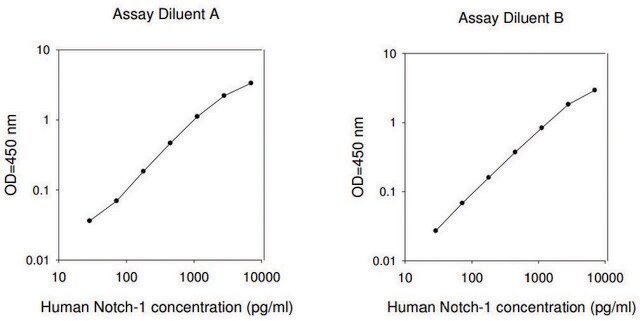 人 Notch-1 ELISA 试剂盒 for serum, plasma, cell culture supernatants and urine