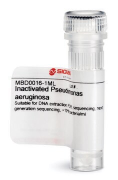 Inactivated Pseudomonas aeruginosa Suitable for DNA extraction, PCR, sequencing, next generation sequencing, &gt;10^8 bacteria/ml