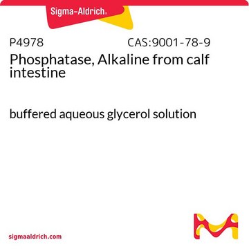 Phosphatase, Alkaline from calf intestine buffered aqueous glycerol solution