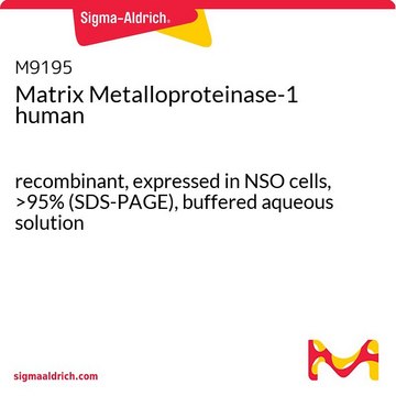 Matrix Metalloproteinase-1 recombinant, expressed in NSO cells, &gt;95% (SDS-PAGE), buffered aqueous solution