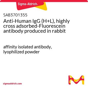 Anti-Human IgG (H+L), highly cross adsorbed-Fluorescein antibody produced in rabbit affinity isolated antibody, lyophilized powder