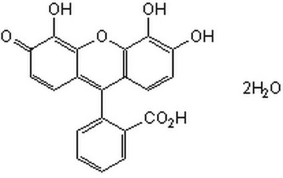 G&#946;&#947;调制器II，棓因 A cell-permeable xanthene compound that binds to G&#946;&#947; with high affinity (Kd ~400 nM derived from a surface plasma resonance binding study using G&#946;1&#947;2) and blocks G&#946;&#947;-dependent cellular activities.