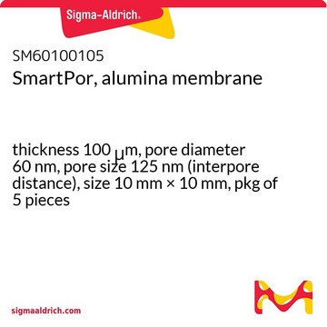 SmartPor, alumina membrane thickness 100&#160;&#956;m, pore diameter 60&#160;nm, pore size 125&#160;nm (interpore distance), size 10&#160;mm × 10&#160;mm, pkg of 5&#160;pieces