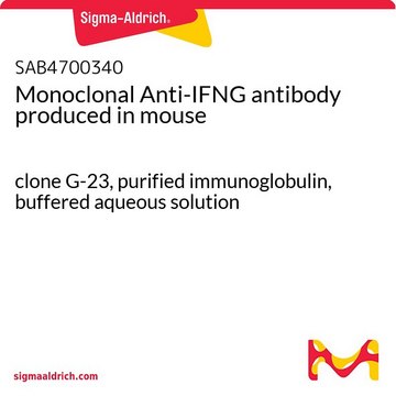 Monoclonal Anti-IFNG antibody produced in mouse clone G-23, purified immunoglobulin, buffered aqueous solution