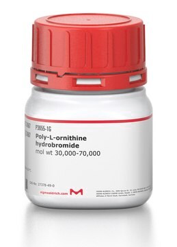 Poly-L-ornithin -hydrobromid mol wt 30,000-70,000