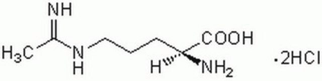 L-N&#8309;-(1-亚胺乙基)-鸟氨酸盐酸盐，二盐酸盐 A cell-permeable, more potent inhibitor of endothelial nitric oxide synthase compared to other arginine analogs such as L-NAME and L-NMMA.